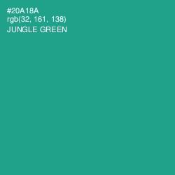 #20A18A - Jungle Green Color Image